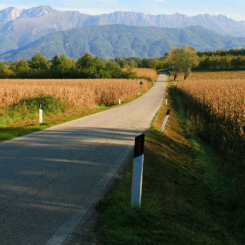 Vini dal Friuli Venezia Giulia