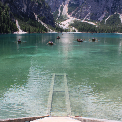 Vini dal Trentino Alto Adige
