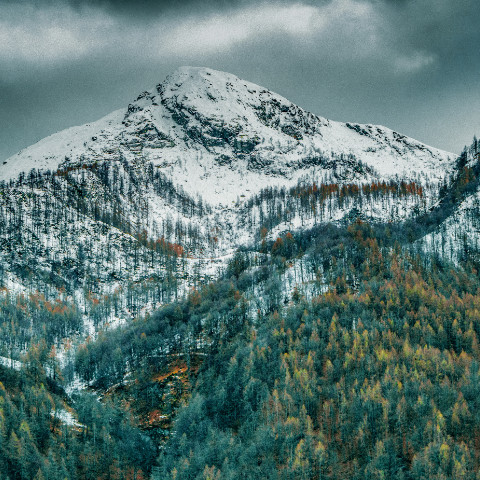 Vini dalla Val D'Aosta