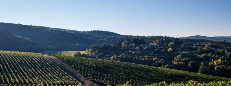 Veduta di Tenuta Tignanello