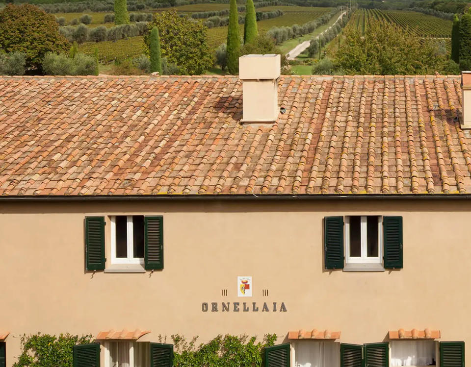 Veduta di Tenuta dell'Ornellaia